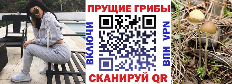 Псилоцибиновые грибы прущие грибы  где купить наркоту  дарк нет состав  Духовщина 